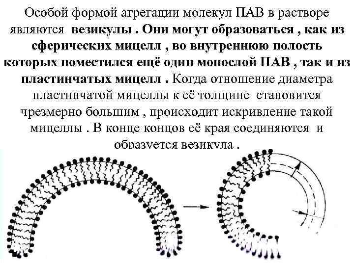 Особой формой агрегации молекул ПАВ в растворе являются везикулы. Они могут образоваться , как