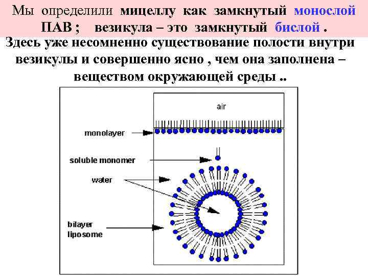 Мы определили мицеллу как замкнутый монослой ПАВ ; везикула – это замкнутый бислой. Здесь