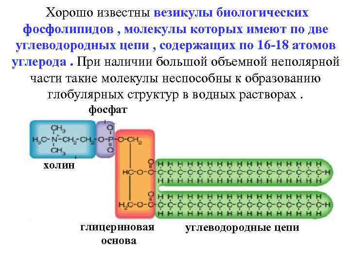  Хорошо известны везикулы биологических фосфолипидов , молекулы которых имеют по две углеводородных цепи