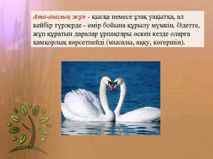 Ата-аналық жұп - қысқа немесе ұзақ уақытқа, ал кейбір түрлерде - өмір бойына құрылу