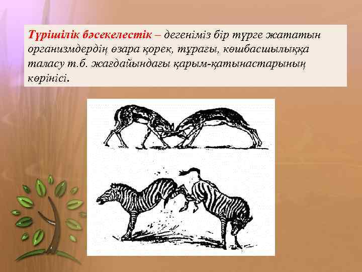 Түрішілік бәсекелестік – дегеніміз бір түрге жататын организмдердің өзара қорек, тұрағы, көшбасшылыққа таласу т.