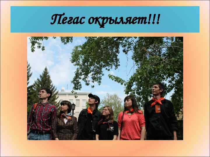 Пегас окрыляет!!! 