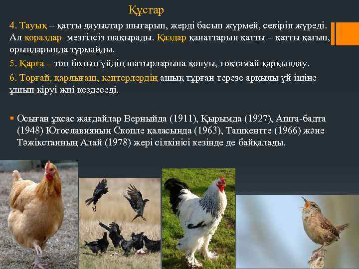  Құстар 4. Тауық – қатты дауыстар шығарып, жерді басып жүрмей, секіріп жүреді. Ал