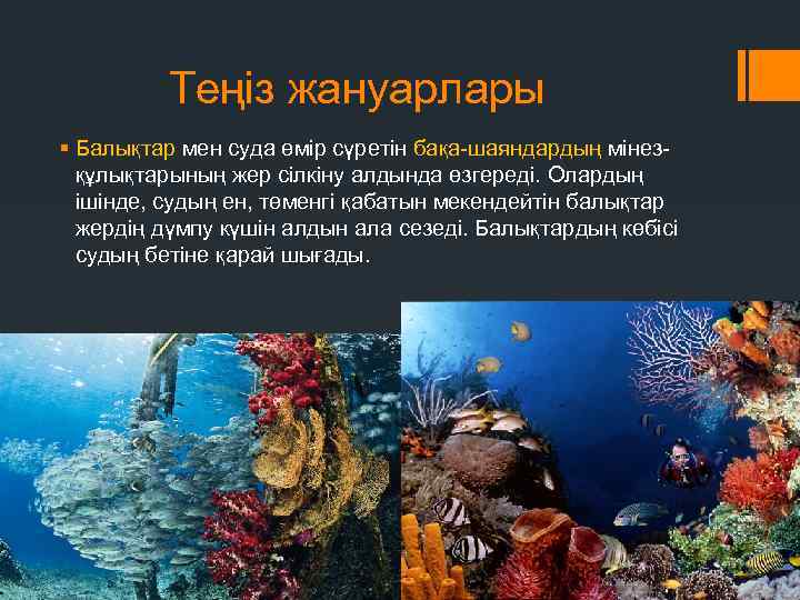 Теңіз жануарлары § Балықтар мен суда өмір сүретін бақа-шаяндардың мінезқұлықтарының жер сілкіну алдында өзгереді.