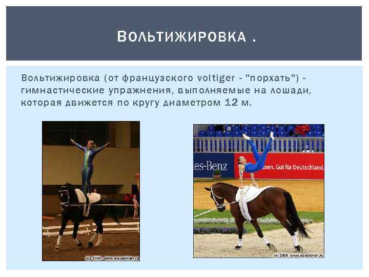 В ОЛЬТИЖИРОВКА. Вольтижировка (от французского voltiger - "порхать") гимнастические упражнения, выполняемые на лошади, которая