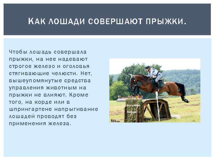 К АК ЛОШАДИ СОВЕРШАЮТ ПРЫЖКИ. Чтобы лошадь совершала прыжки, на нее надевают строгое железо