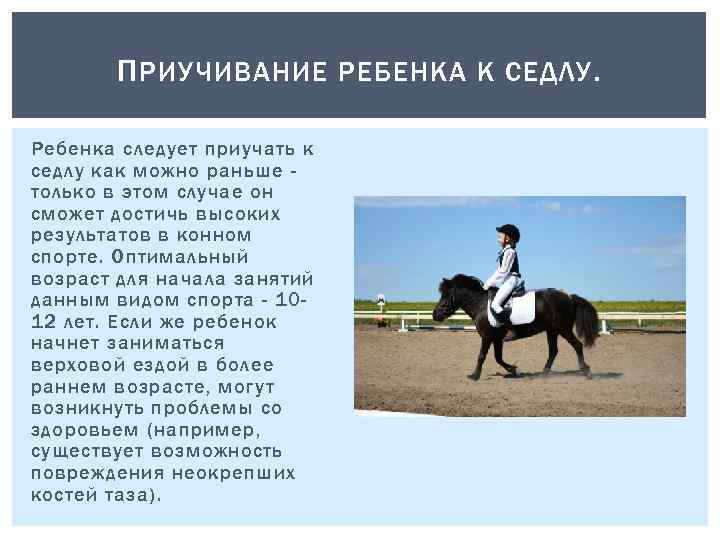 П РИУЧИВАНИЕ РЕБЕНКА К СЕДЛУ. Ребенка следует приучать к седлу как можно раньше только