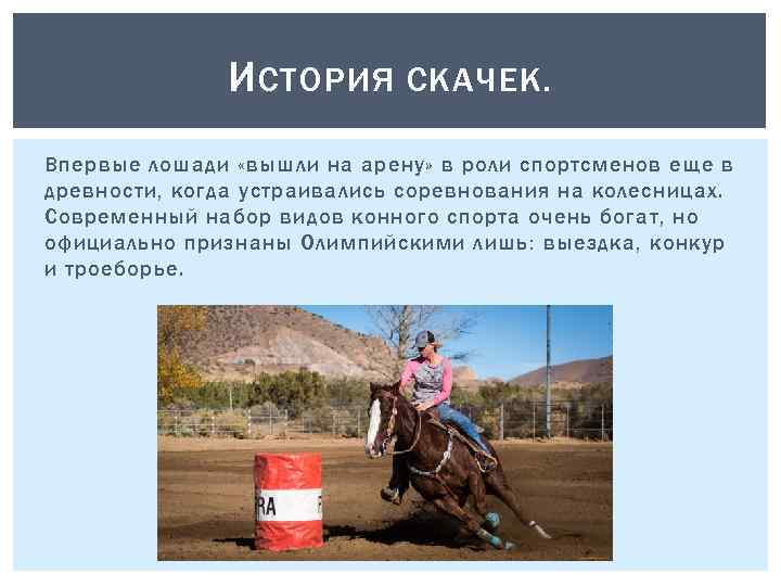 И СТОРИЯ СКАЧЕК. Впервые лошади «вышли на арену» в роли спортсменов еще в древности,