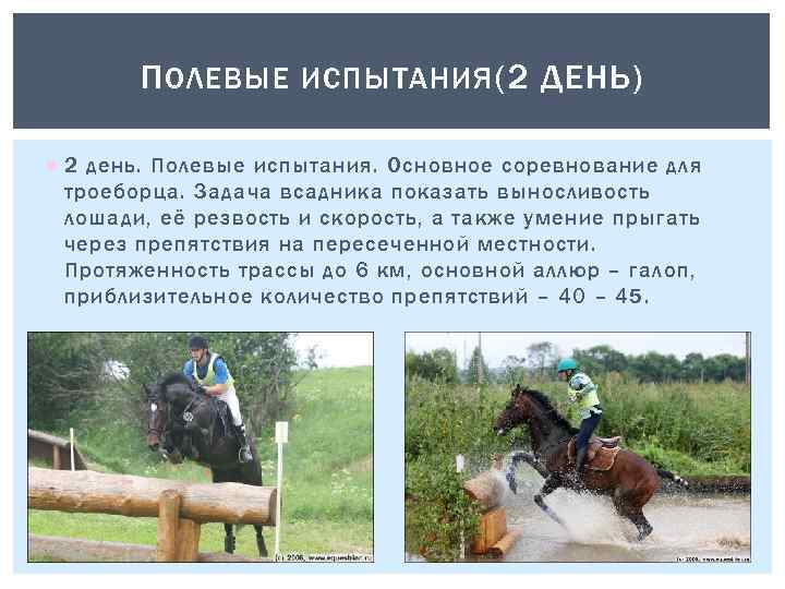 П ОЛЕВЫЕ ИСПЫТАНИЯ (2 ДЕНЬ) 2 день. Полевые испытания. Основное соревнование для троеборца. Задача