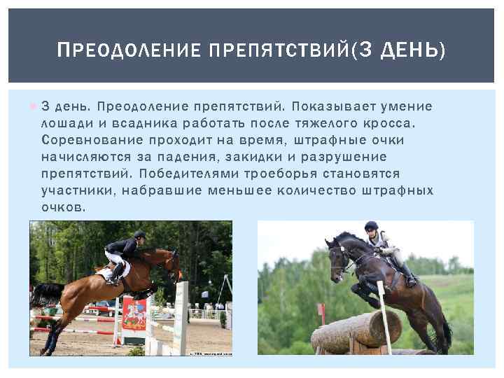 П РЕОДОЛЕНИЕ ПРЕПЯТСТВИЙ (3 ДЕНЬ) 3 день. Преодоление препятствий. Показывает умение лошади и всадника