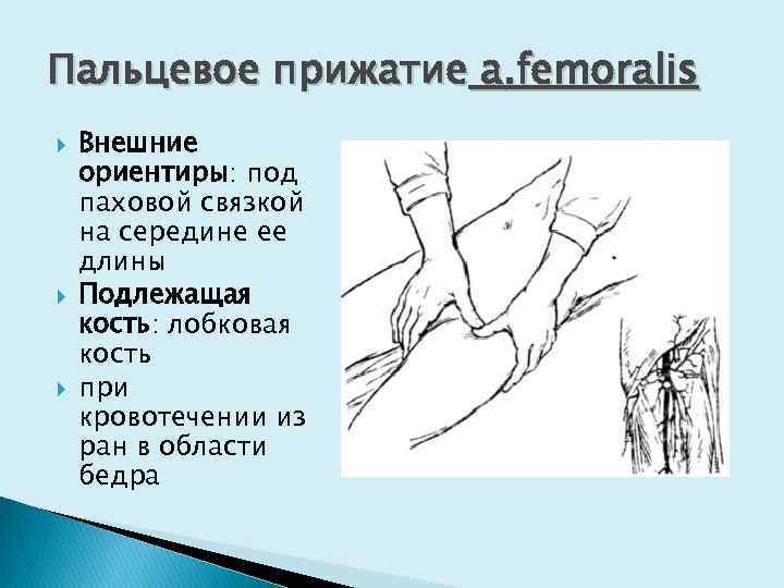 Рана бедренной артерии. Прижатие бедренной артерии. Прижатие подмышечной артерии.