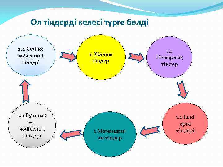 Ол тіндерді келесі түрге бөлді 2. 2 Жүйке жүйесінің тіндері 2. 1 Бұлшық ет