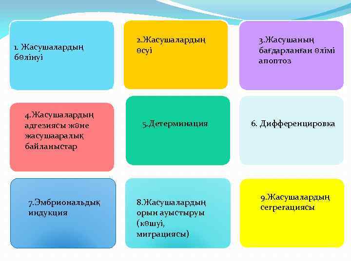 1. Жасушалардың бөлінуі 4. Жасушалардың адгезиясы және жасушааралық байланыстар 7. Эмбриональдық индукция 2. Жасушалардың