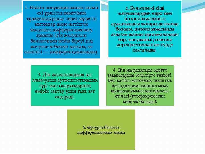 1. Өзінің популяциясының санын екі үрдістің көмегімен тұрақтандырады: сирек жүретін митоздар және жетілген жасушаға