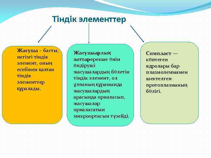  Тіндік элементтер Жасуша – басты, негізгі тіндік элемент, оның есебінен қалған тіндік элементтер