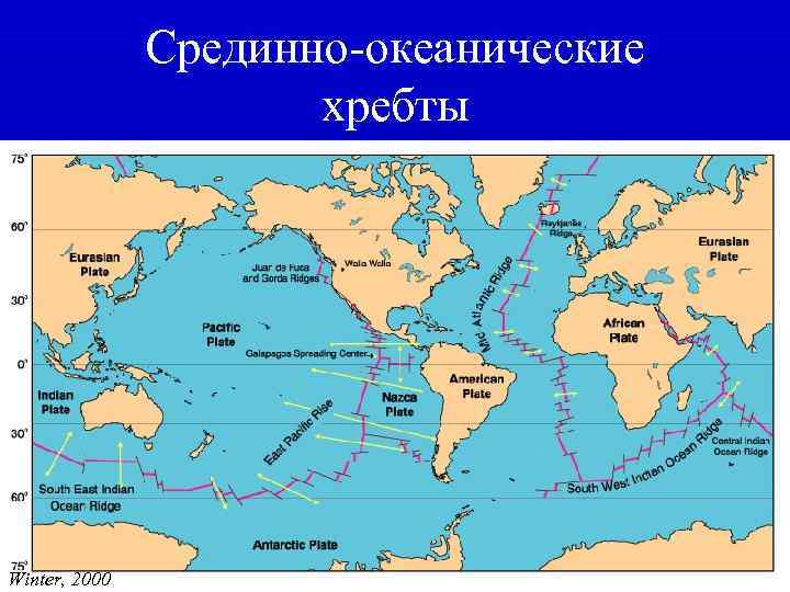 Срединно-океанические хребты Winter, 2000 