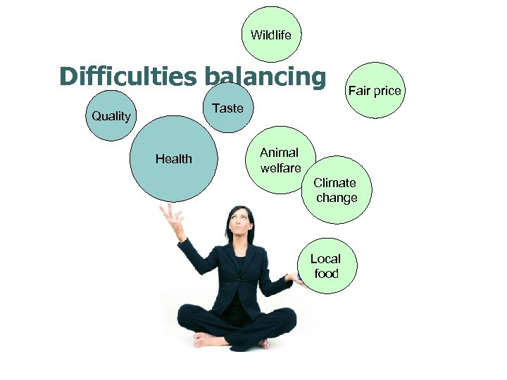 Wildlife Difficulties balancing Fair price Taste Quality Health Animal welfare Climate change Local food