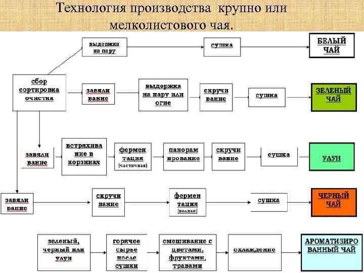 Технология производства крупно или мелколистового чая. 