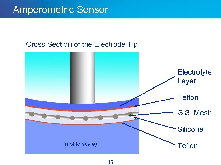 Amperometric Sensor Cross Section of the Electrode Tip Electrolyte Layer Teflon S. S. Mesh