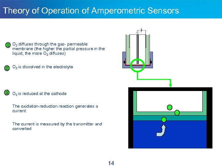 Theory of Operation of Amperometric Sensors 1 O 2 diffuses through the gas- permeable