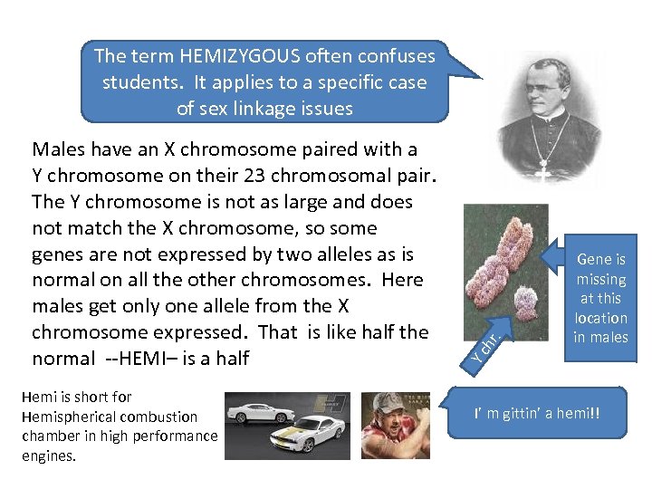 Hemi is short for Hemispherical combustion chamber in high performance engines. hr Gene is