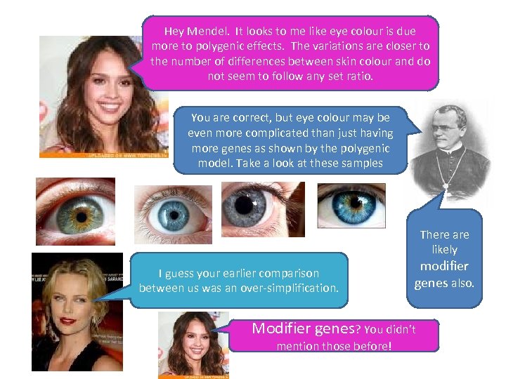 Hey Mendel. It looks to me like eye colour is due more to polygenic