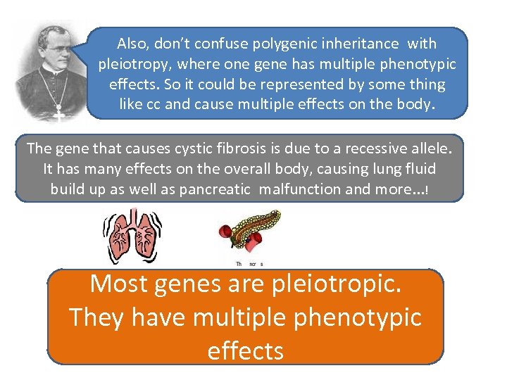 Also, don’t confuse polygenic inheritance with pleiotropy, where one gene has multiple phenotypic effects.