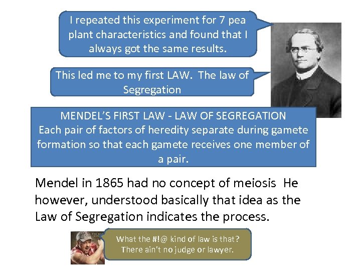 I repeated this experiment for 7 pea plant characteristics and found that I always