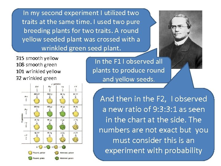 In my second experiment I utilized two traits at the same time. I used