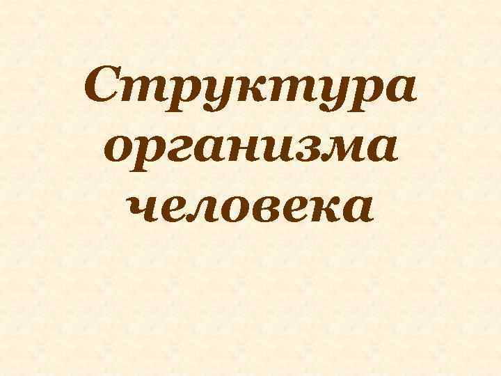 Структура организма человека 