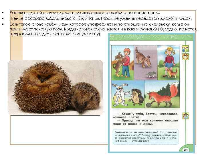 § § § Рассказы детей о своих домашних животных и о своём отношении к