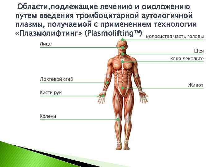 Области, подлежащие лечению и омоложению путем введения тромбоцитарной аутологичной плазмы, получаемой с применением технологии