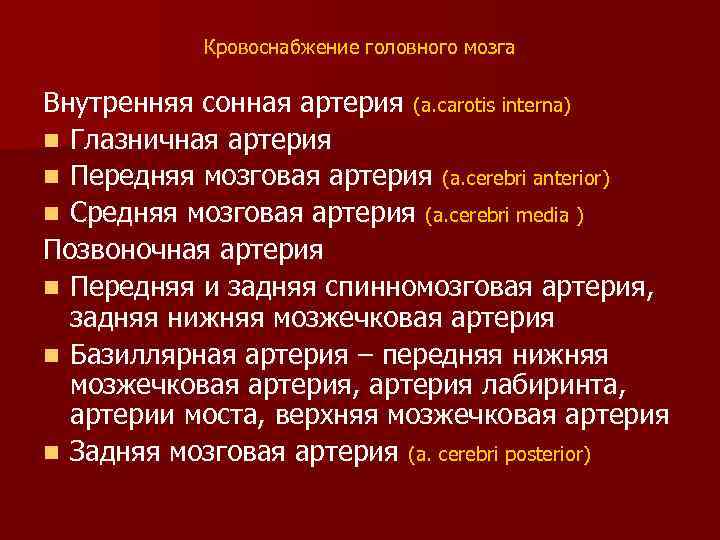 Кровоснабжение головного мозга Внутренняя сонная артерия (a. carotis interna) n Глазничная артерия n Передняя