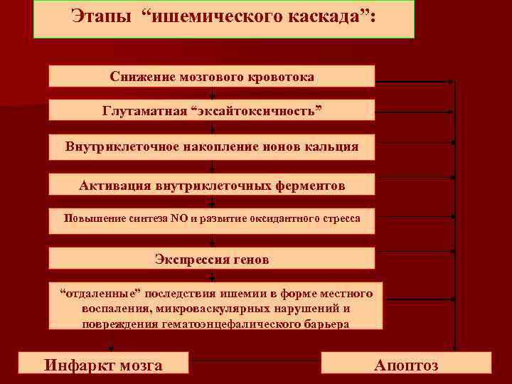 Этапы “ишемического каскада”: Снижение мозгового кровотока Глутаматная “эксайтоксичность” Внутриклеточное накопление ионов кальция Активация внутриклеточных