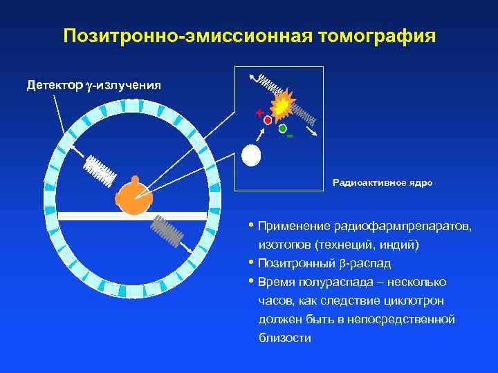 Позитронно-эмиссионная томография Детектор g-излучения + Радиоактивное ядро • Применение радиофармпрепаратов, изотопов (технеций, индий) •