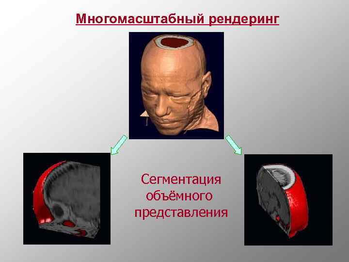 Многомасштабный рендеринг Сегментация объёмного представления 