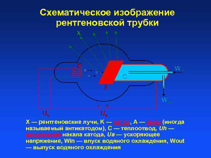 Схематическое изображение рентгеновской трубки X — рентгеновские лучи, K — катод, А — анод