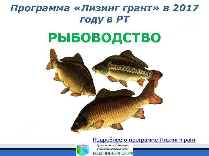 Программа «Лизинг грант» в 2017 году в РТ РЫБОВОДСТВО Подробнее о программе Лизинг-грант 