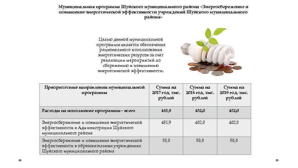 Муниципальная программа новосибирск. Программа энергосбережения муниципального образования. Энергосбережение и повышение энергетической эффективности. Отчет о реализации мероприятий по энергосбережению. Программа энергосбережения бюджетного учреждения пример.