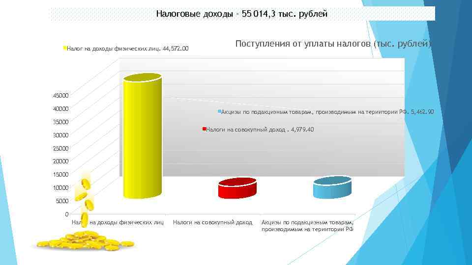 Налоговые доходы – 55 014, 3 тыс. рублей Налог на доходы физических лиц. 44,