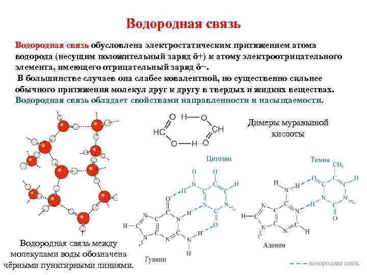 Водородная связь обусловлена электростатическим притяжением атома водорода (несущим положительный заряд δ+) к атому электроотрицательного