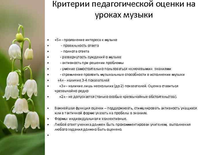 Критерии педагогической оценки на уроках музыки • • • • « 5» - проявление