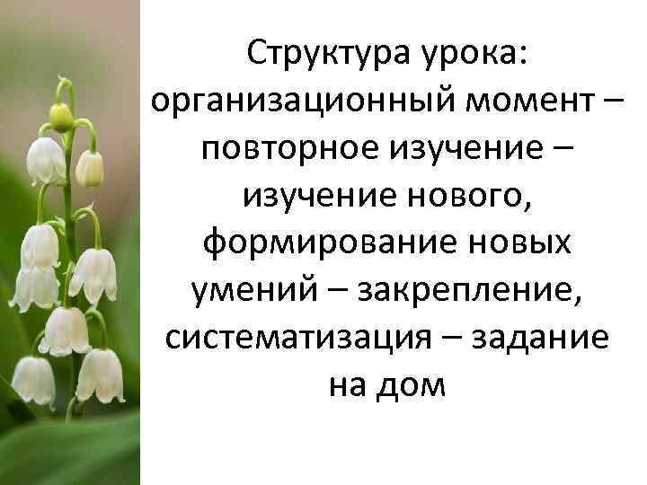 Структура урока: организационный момент – повторное изучение – изучение нового, формирование новых умений –