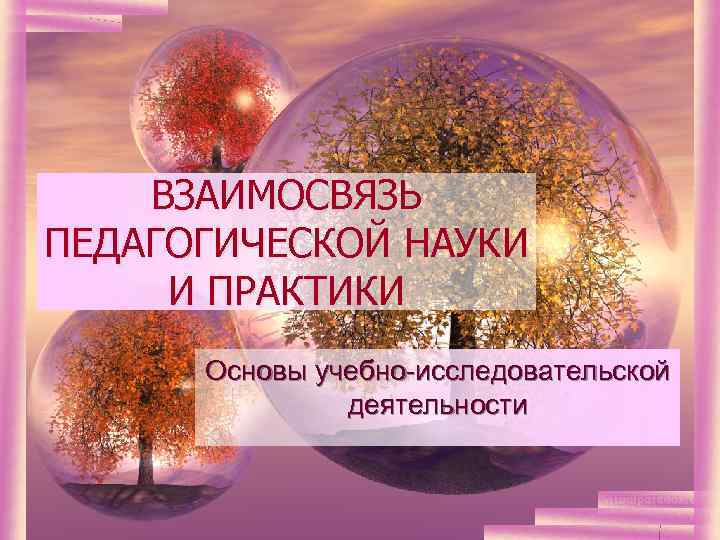 ВЗАИМОСВЯЗЬ ПЕДАГОГИЧЕСКОЙ НАУКИ И ПРАКТИКИ Основы учебно-исследовательской деятельности 