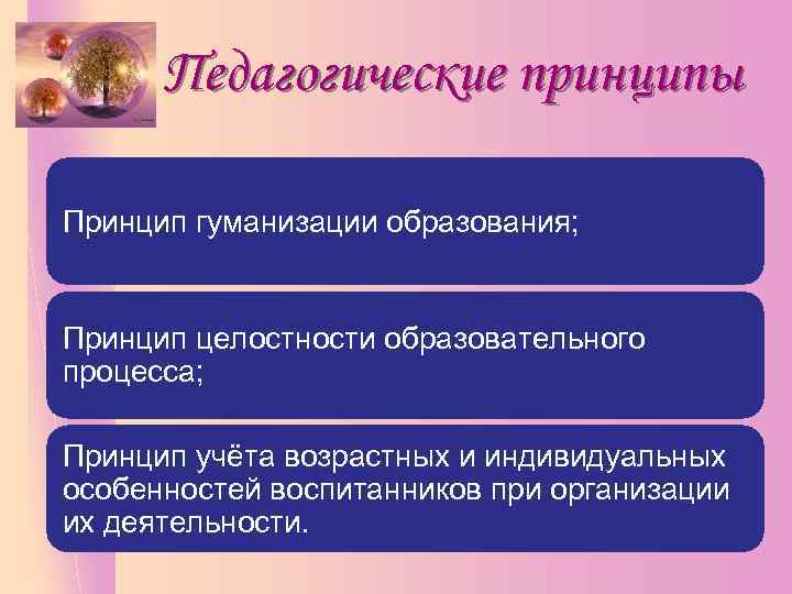 Педагогические принципы Принцип гуманизации образования; Принцип целостности образовательного процесса; Принцип учёта возрастных и индивидуальных