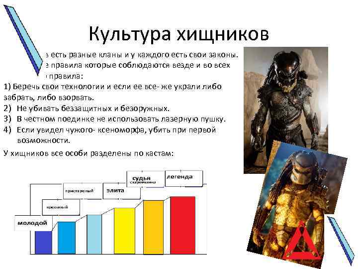 Культура хищников У хищников есть разные кланы и у каждого есть свои законы. Есть