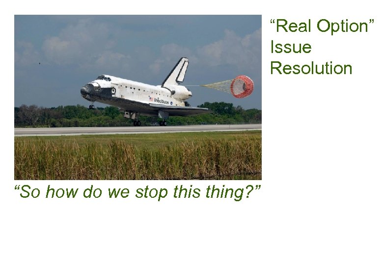 “Real Option” Issue Resolution “So how do we stop this thing? ” 