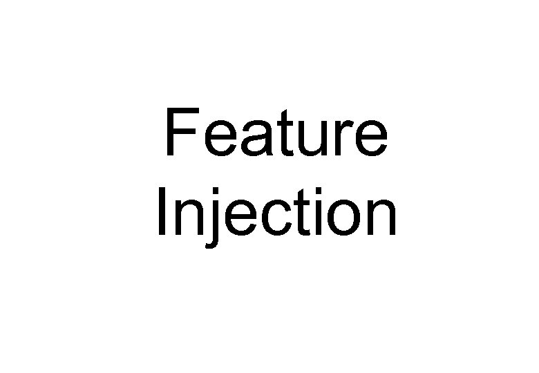 Feature Injection 