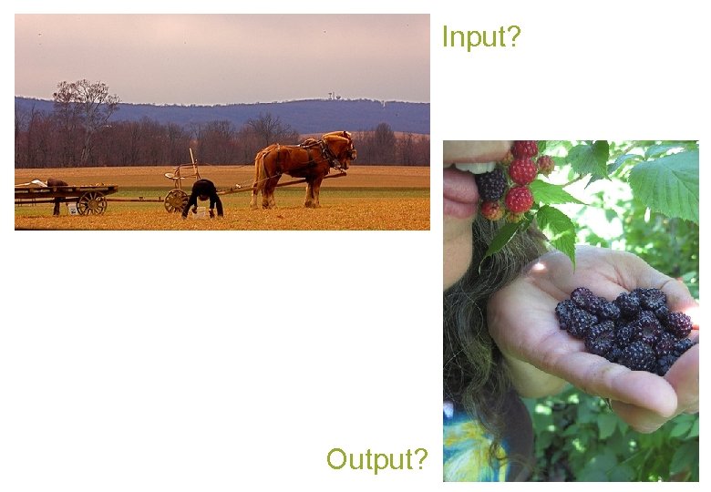 Input? Output? 