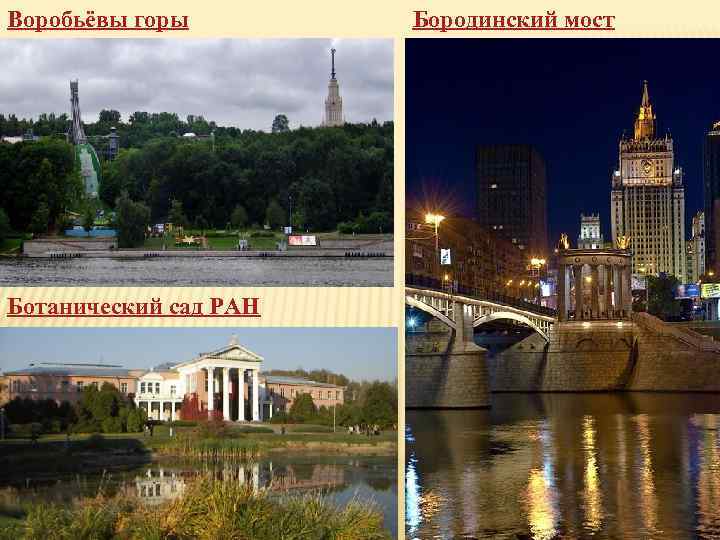 Воробьёвы горы Ботанический сад РАН Бородинский мост 